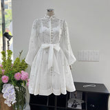 French Early Autumn Silk Taut Feeling High Collar Design Heavy Industry Nail Drill Long Sleeve Buckle Lantern Sleeve Dress Shows Temperament 68HZ