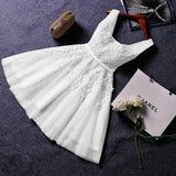 2025 New Evening Dress Ebaywish Sexy Short Thin Small Dress Woman 68HZ