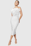 Christmas New Long Fashion Dress Brated Ostrich Hair High-End Temperament Banded Dress Woman 68HZ