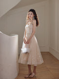 Evening Dress 2024 New Extreme Day Meteor Fine Shiny Piece Hanging Dress Birthday Ceremony Fairy Dress 68HZ
