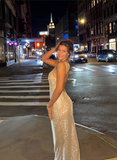 Elegant Silvery Sparkling Rhinestone Evening Gown Sheath Party Dress Long Formal Dress HZ1024