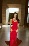 Burgundy Sexy Mermaid Spaghetti Strap Ball Gown HZ1024