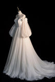 Champagne Tulle Long Sleeve Prom Dress, Off the Shoulder Evening Dress HZ1024