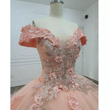 Gorgeous Pink Applique Off-the-shoulder Sweet 16 Quinceanera A-Line Floor-length Prom Dress Birthday Dress Evening Dress Ball Gown HZ1024